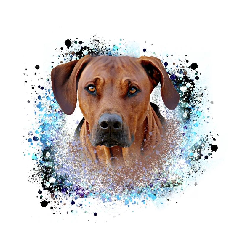 rhodesianridgeback, Hund,Hunderasse,graffiti