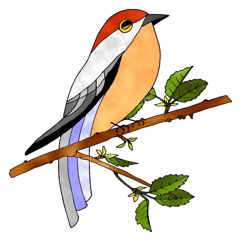 Oiseau