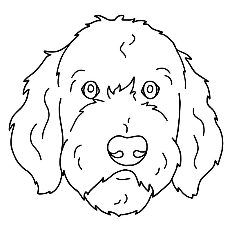 Hund