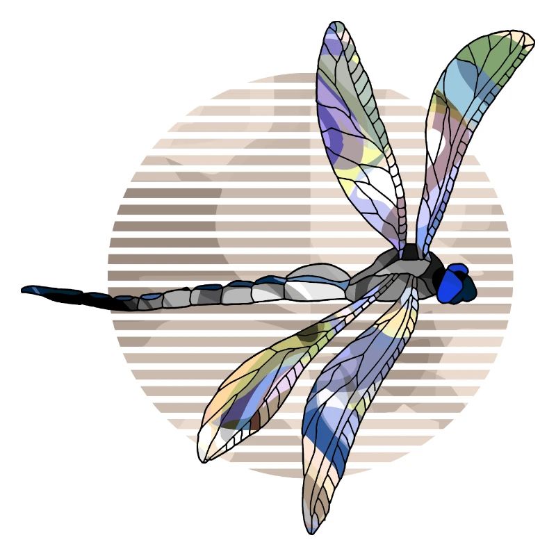 Libellule