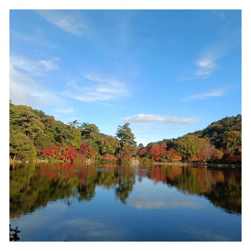 Blick auf den See