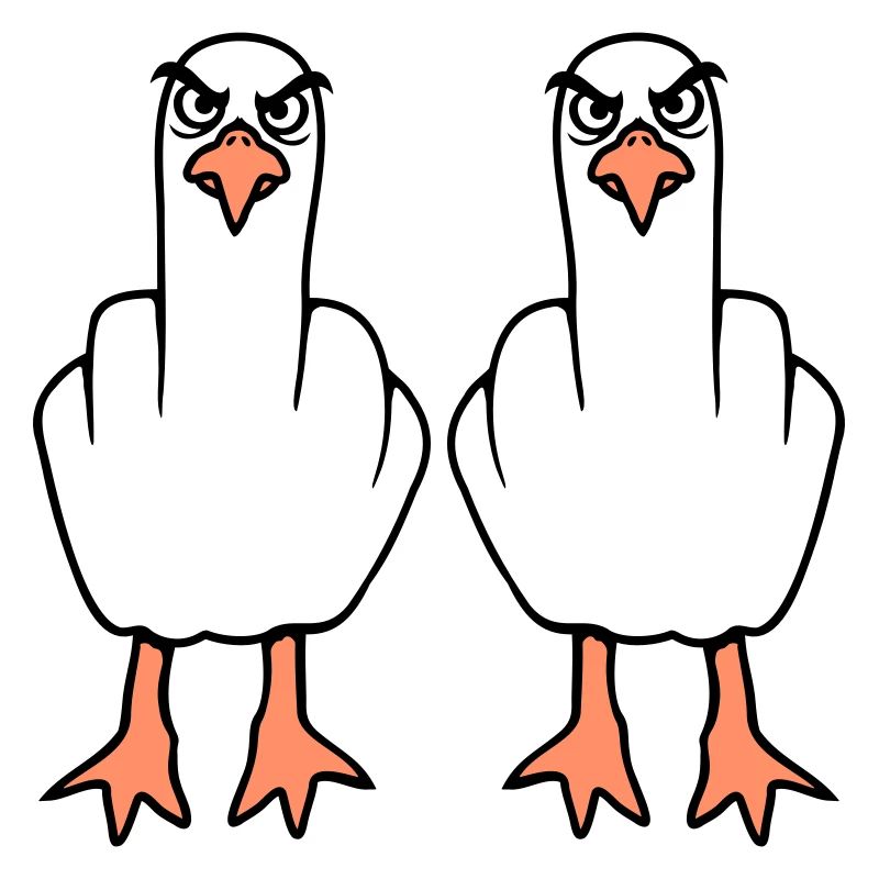 2 Seagulls Doigt d’honneur Insulte Stinkfinger Équipe