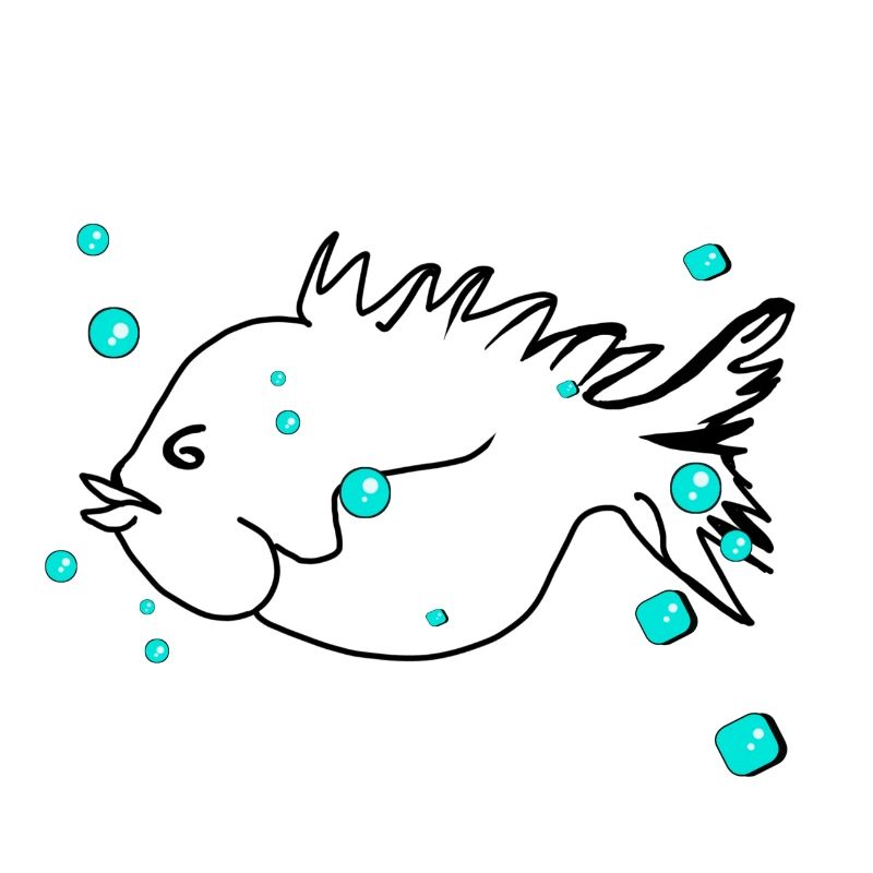 Natation - Eau