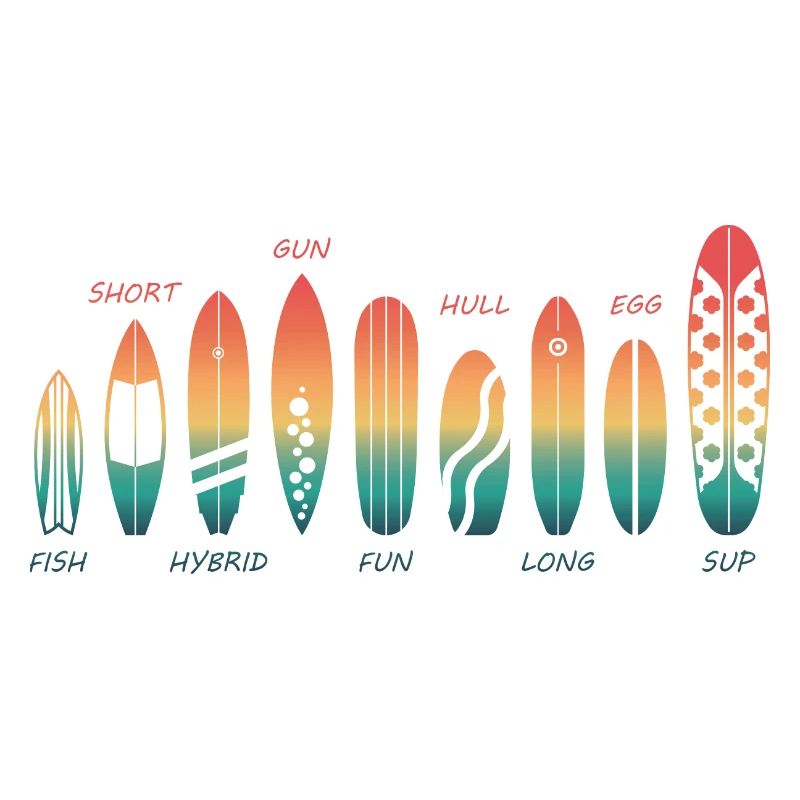 Different Skateboard Skate Boarder Types