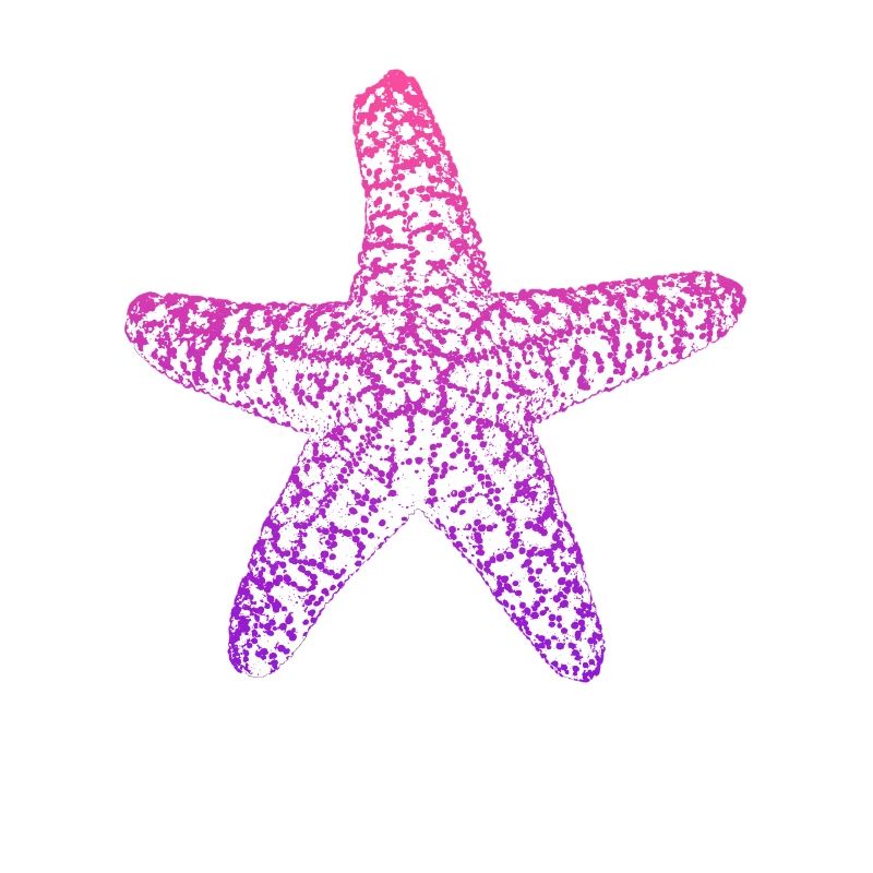 étoile de mer