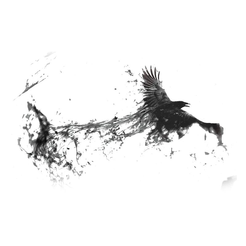 Conception Corvus Corbeau