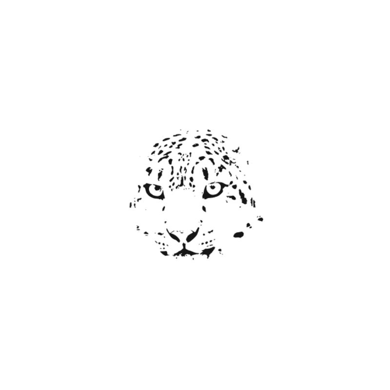 Snow leopard