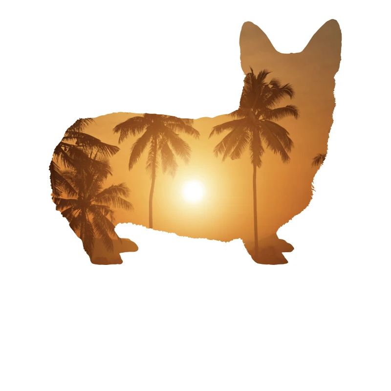 Plage d’été - Corgi