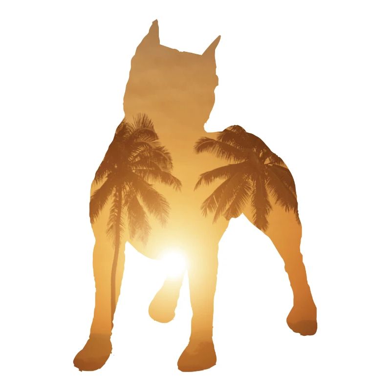 Summer beach - Pitbull