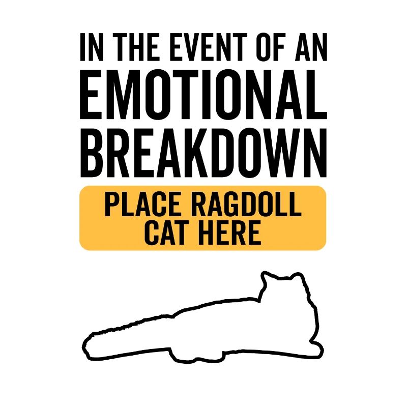 Emotional - Ragdoll Katze