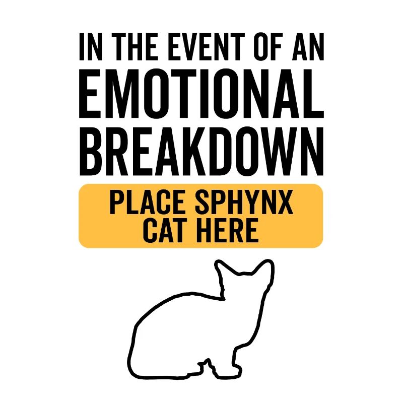 Emotional - Sphynx Katze