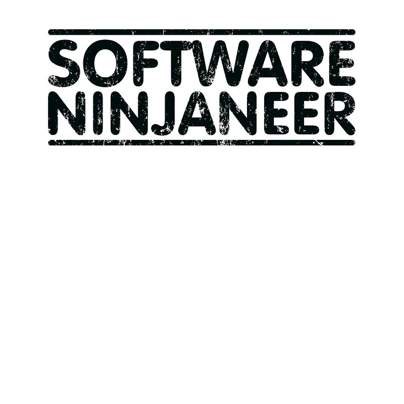 Ninjaneer - Software -Ingenieur