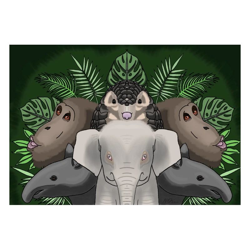 jungle animals