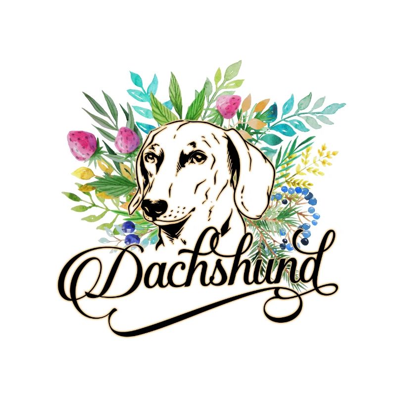 Dachshund Dackel