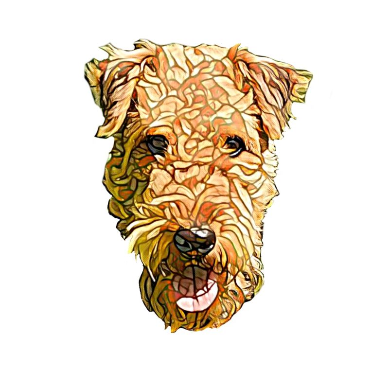 Visage d’Airedale Terrier