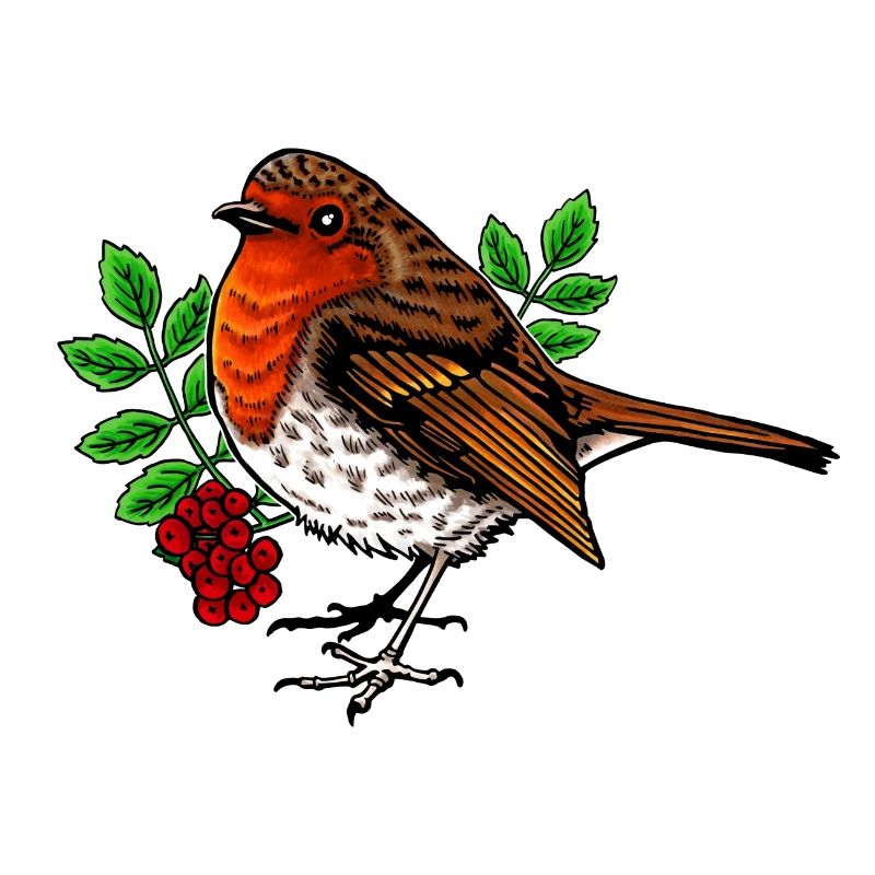 Robin