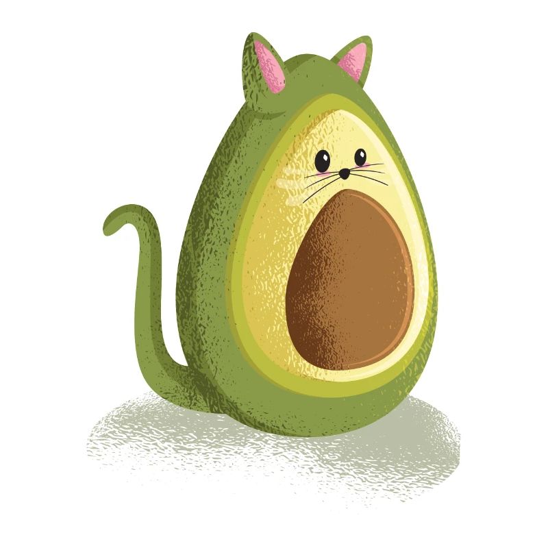 Chat avocat