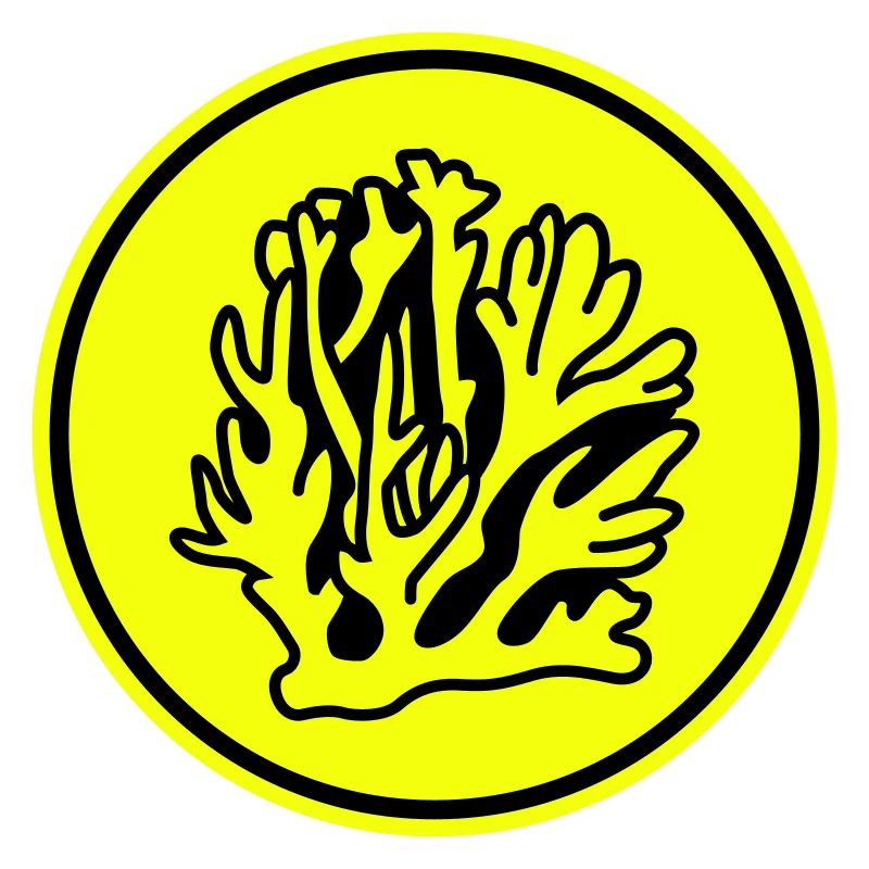 Océan de corail