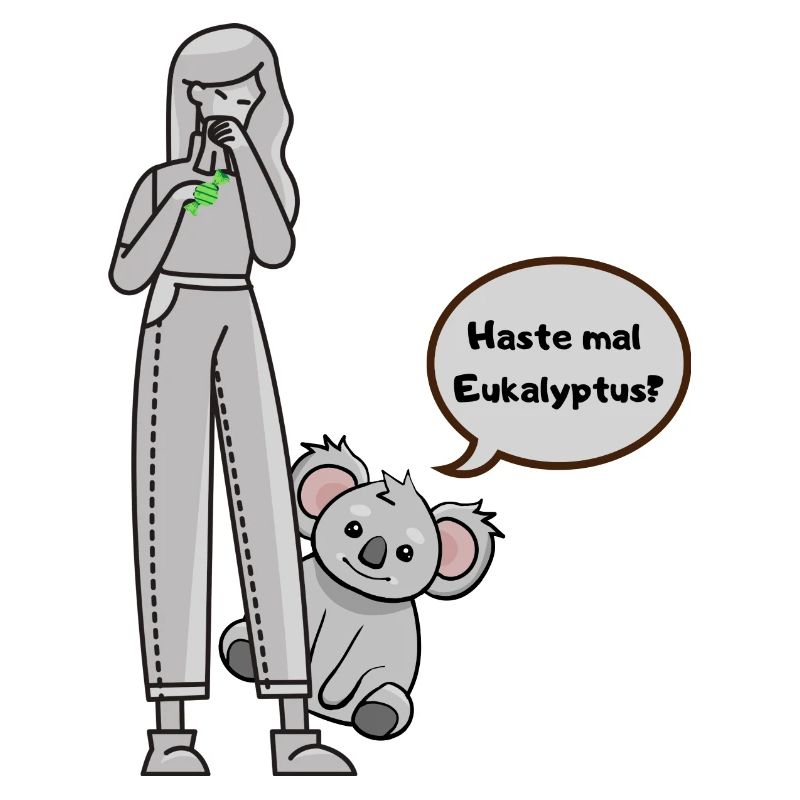 Koala fragt nach Eukalyptus