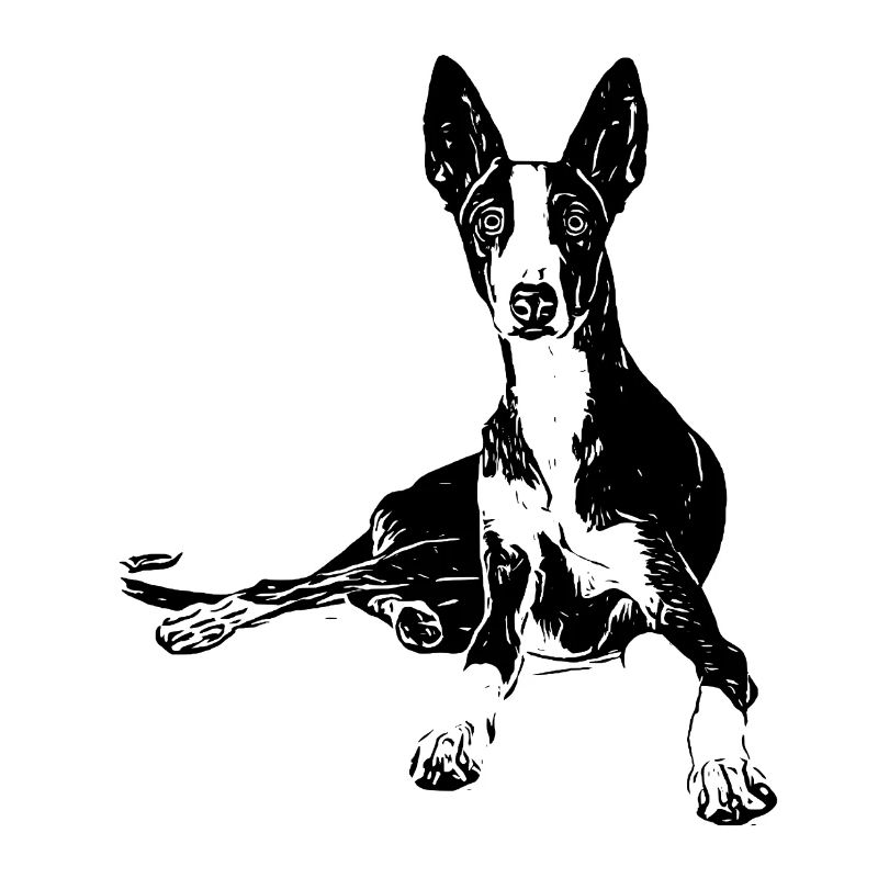 Podenco Hunde Design Geschenkidee