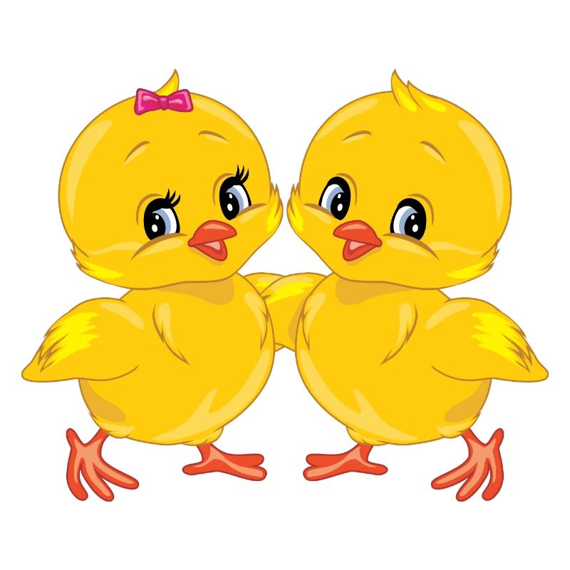 Two cute smiling chicks