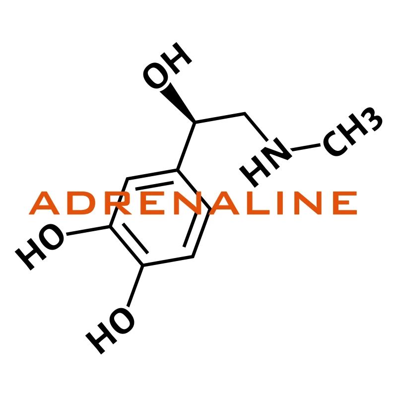 Formule structurelle d’adrénaline
