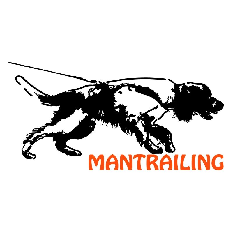 Springer spaniel mantrailing