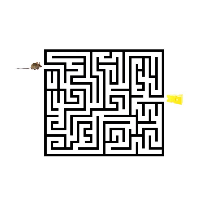 Labyrinth