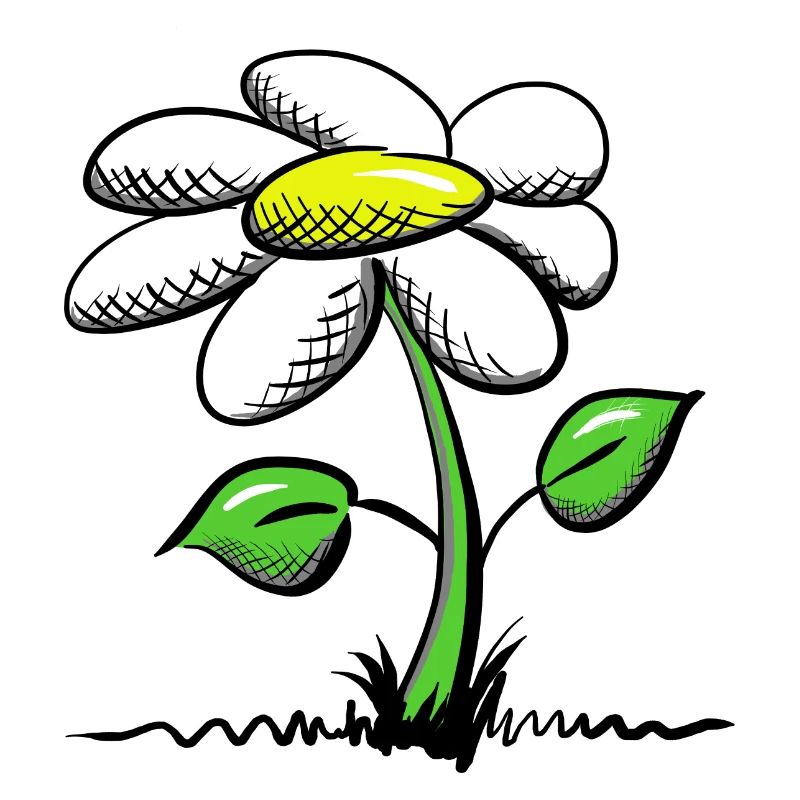 Gaensebluemchen Geschenk