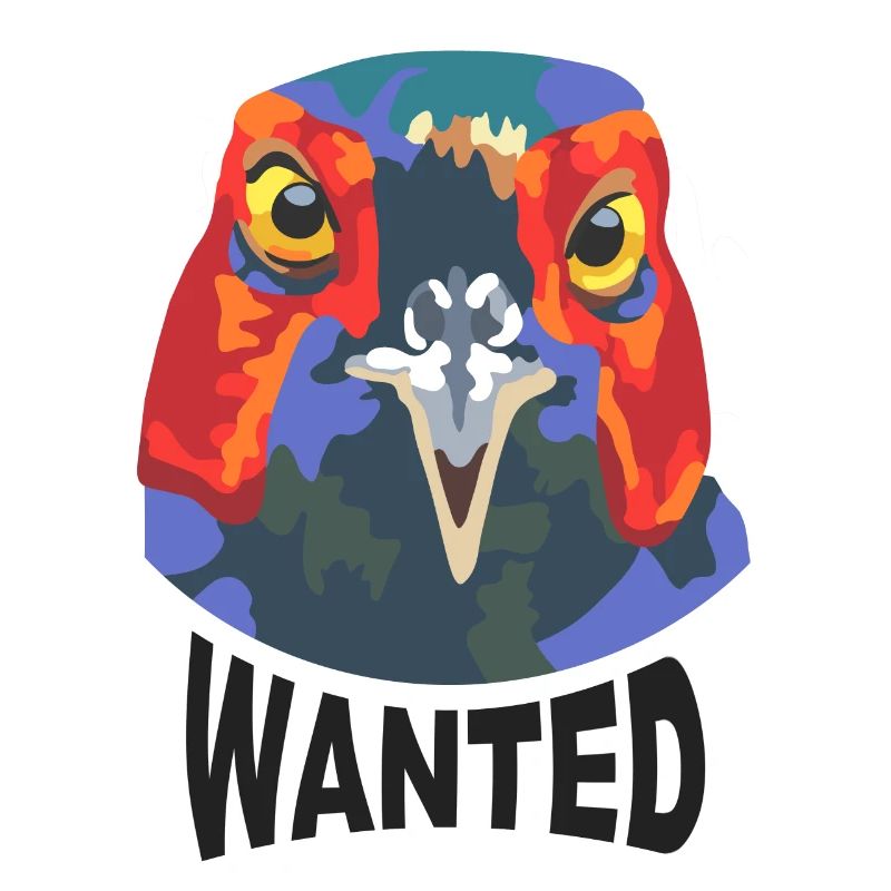 Pheasant Hunting Wanted