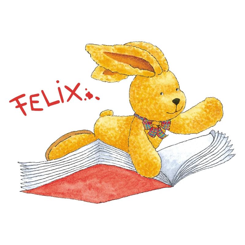 Felix der Hase Auf Einem Fliegenden Buch