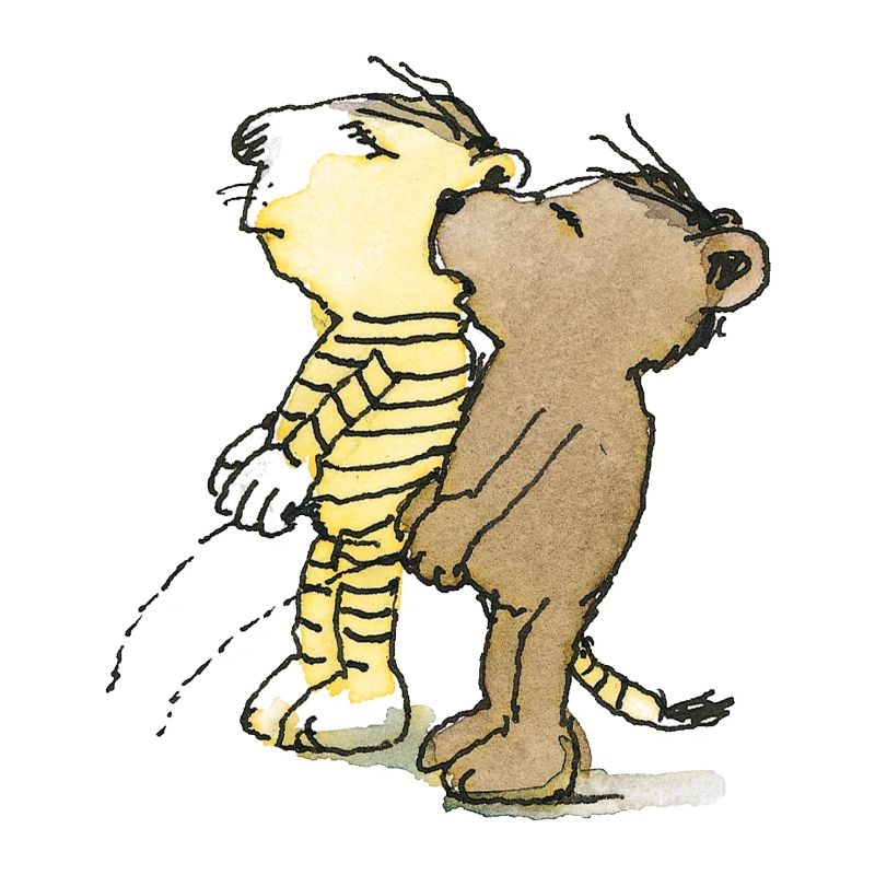 Janosch Tiger und Bär Pullern