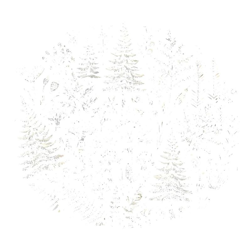 Illustration complexe de la nature de la forêt