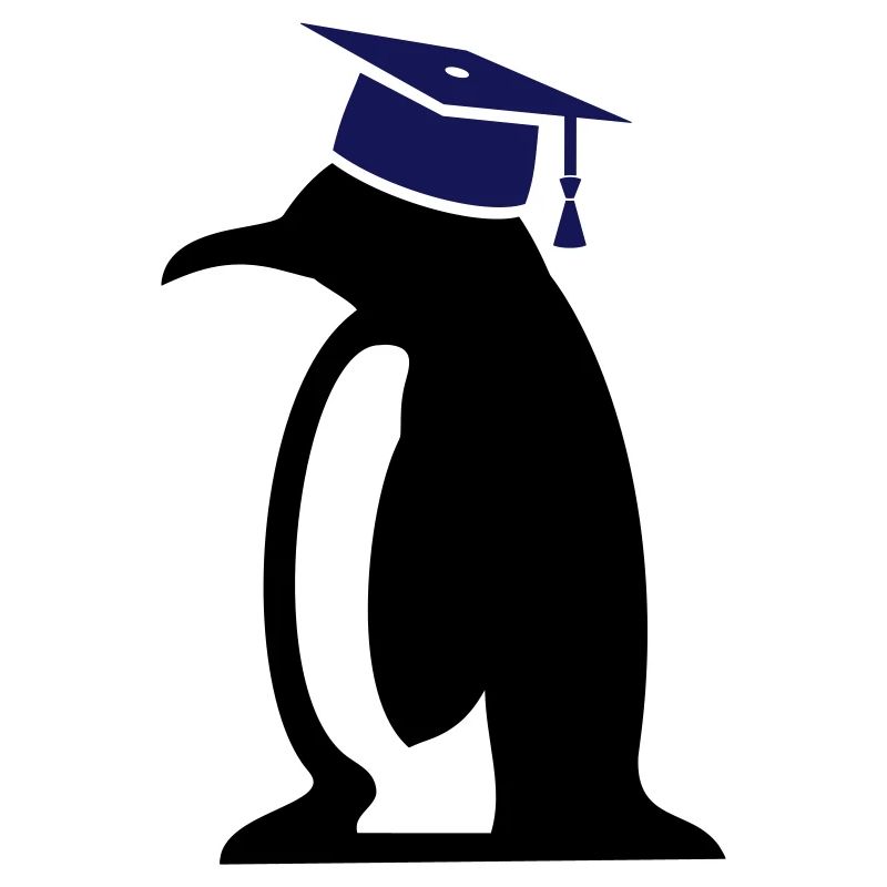 Pingvin med ph.d.-hat, gave til ph.d.-afhandling