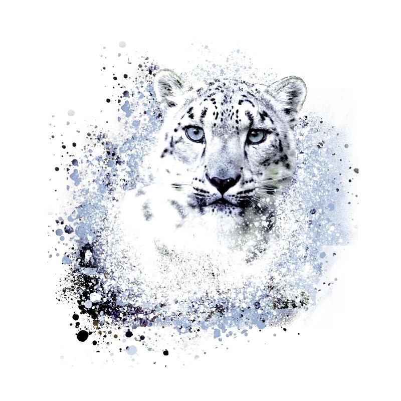 léopard de neige,chat,léopard,léopard,blanc,chat sauvage
