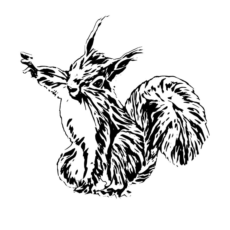 Eichhörnchen