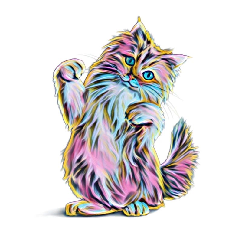 Main Coon