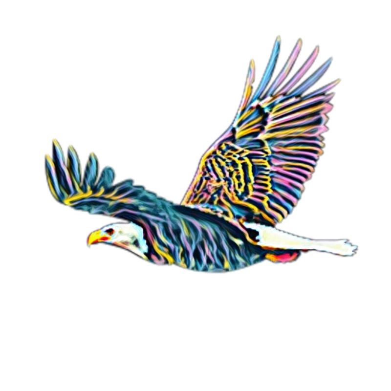 Aigle