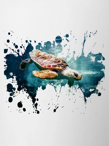 Schildkröte Splash