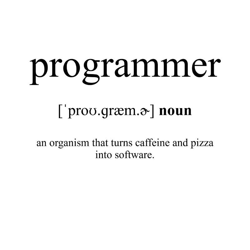Dictionnaire de définition de programmeur