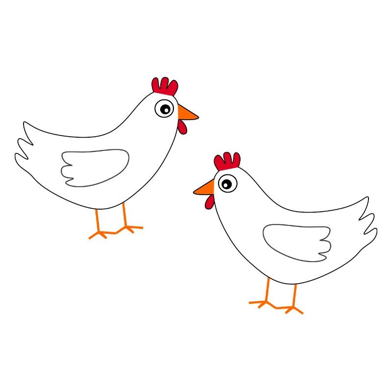 Chicken White White Chickens Hens Easter