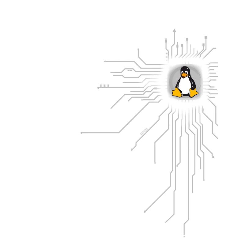 platine pingouin Core Coeur Ordinateur pc Nerd program