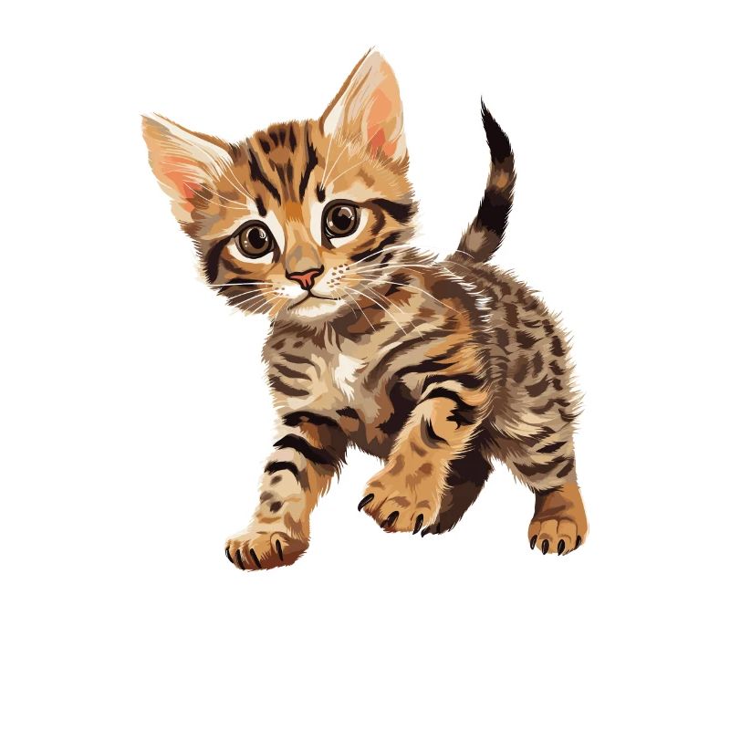 Chat du Bengale Bengalkatze