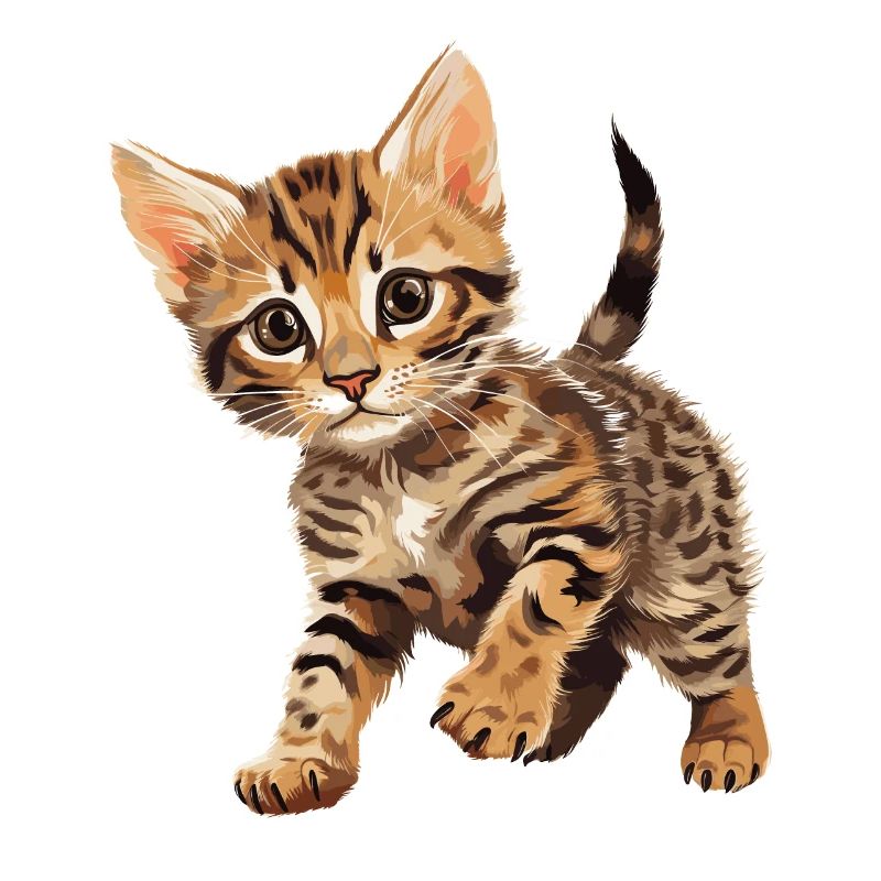 Chat du Bengale Bengalkatze