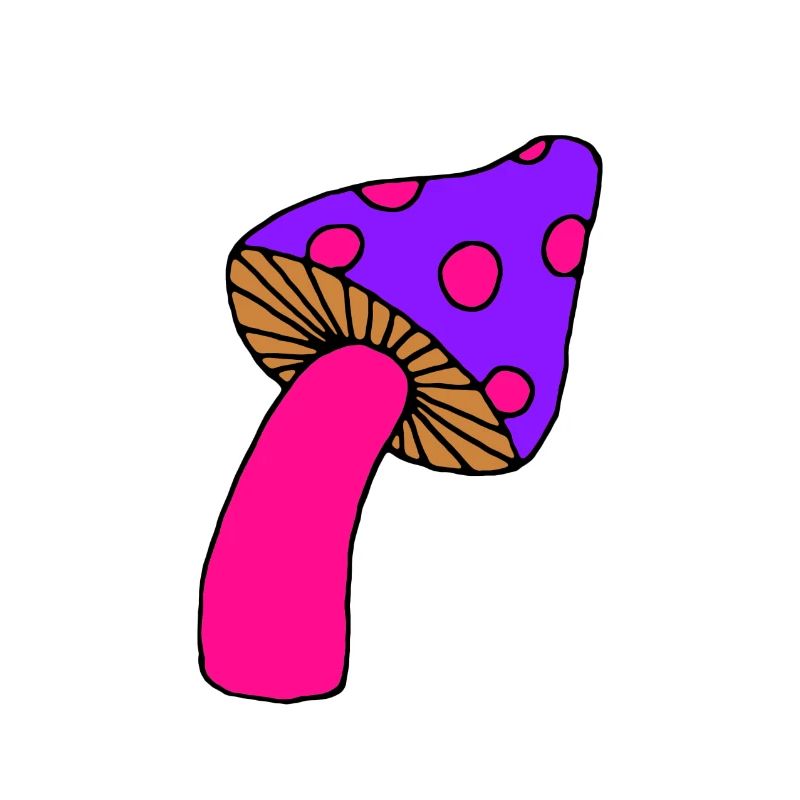 Champignon psy violet