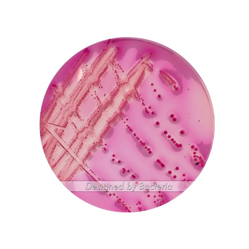 DESIGNED BY BACTERIA Edition 2