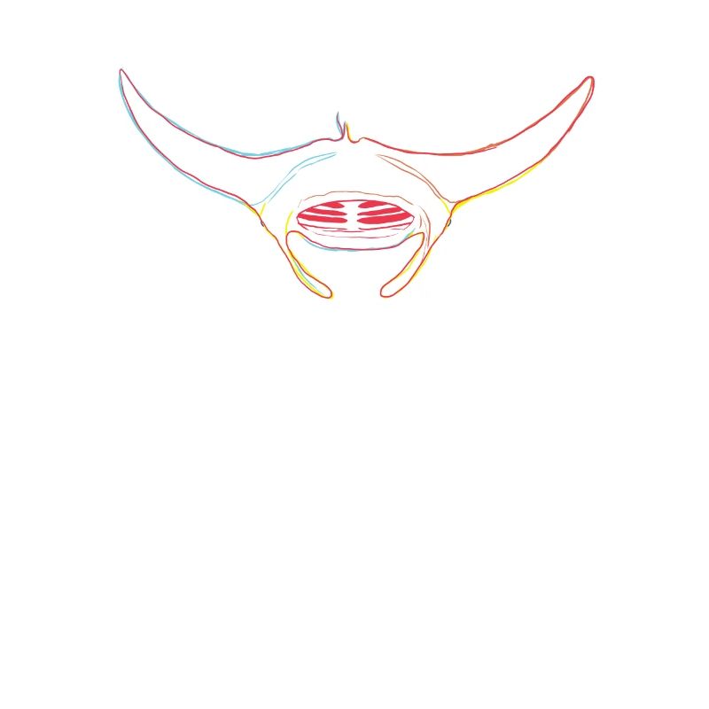 Manta Ray Strokes