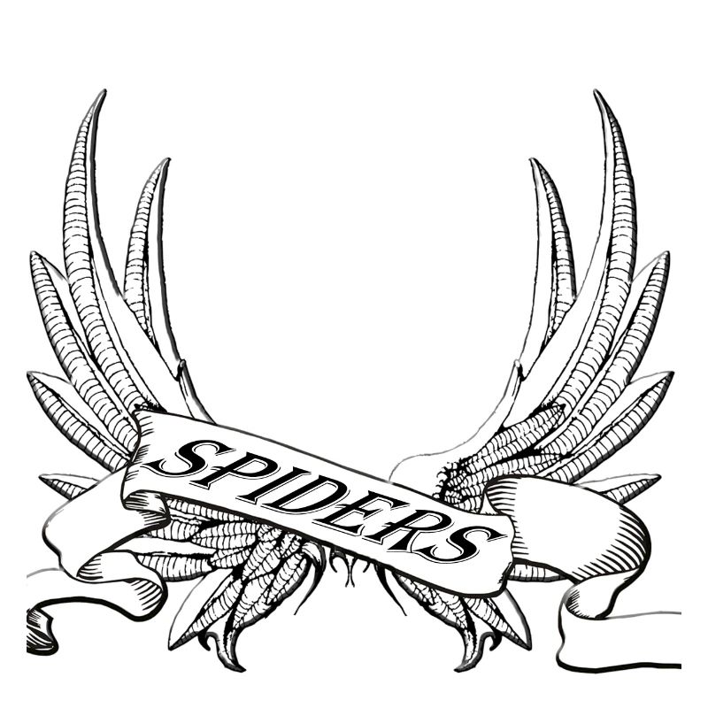 spider