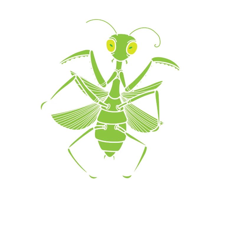 Insect Praying Mantis