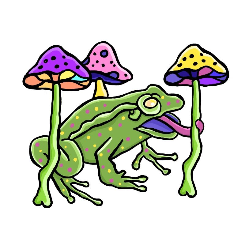 Psychoactive mushrooms with frog